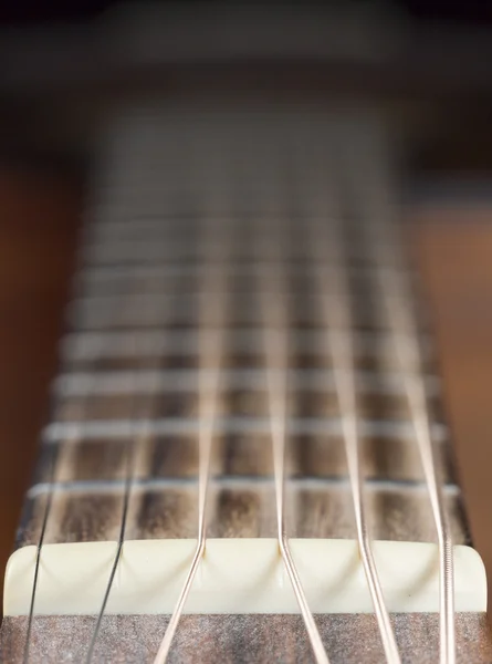Porca de guitarra e cordas — Fotografia de Stock