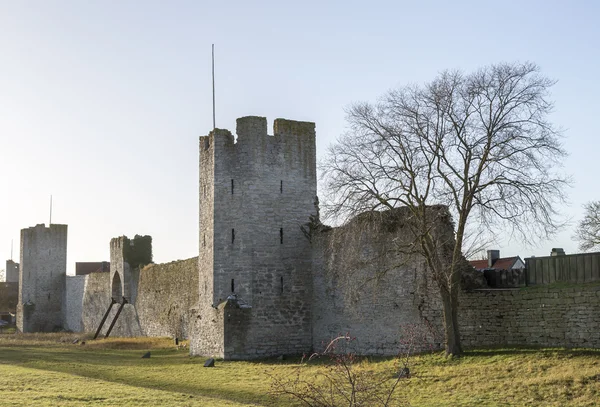 Town Wall in Visby, Sweden — Stock Photo, Image