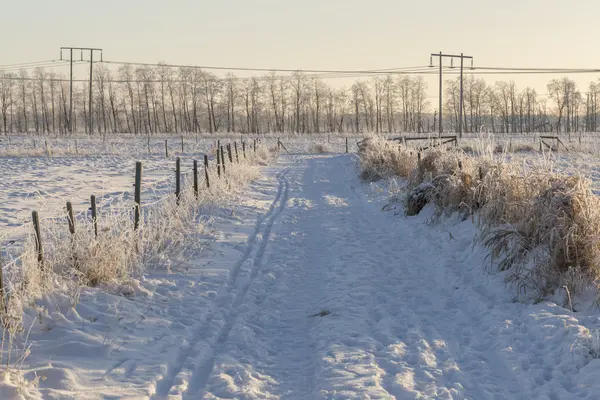 Road in Winter Field — Stock Photo, Image