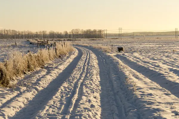 Estrada em Winter Field — Fotografia de Stock