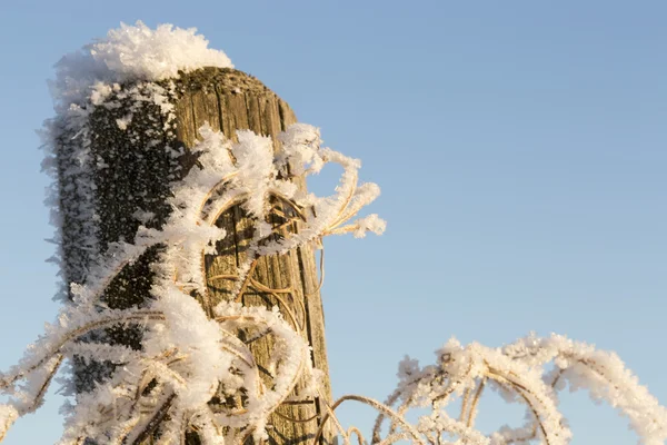 Frostbedeckter Pol — Stockfoto