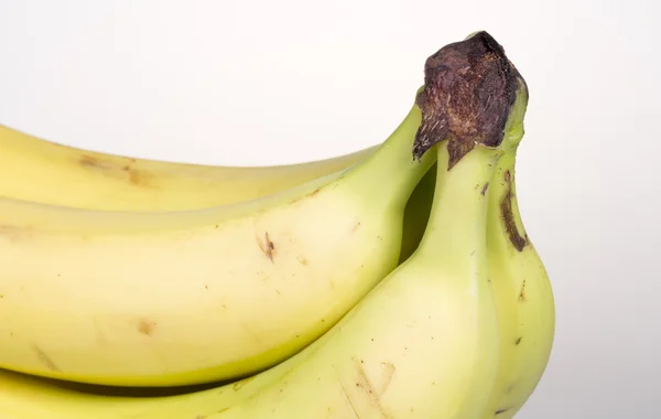 Bunch of Bananas — Stock Photo, Image