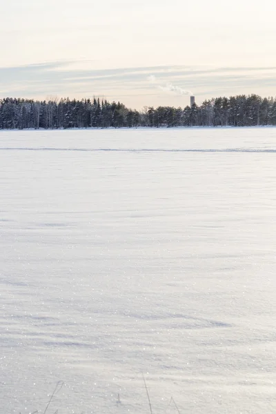 Schneebedeckter See mit Bäumen — Stockfoto