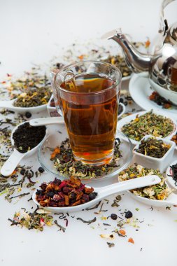 Kuru çay ürün yelpazesine. Çay beyaz izole çeşitli. Çay yaprakları farklı türde. Farklı tipteki çay çay kompozisyon. Çay kavramı. Çay yaprakları