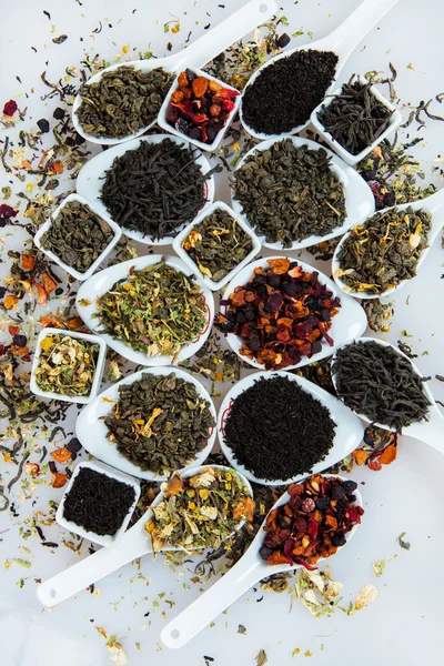 Kuru çay ürün yelpazesine. Çay beyaz izole çeşitli. Çay yaprakları farklı türde. Farklı tipteki çay çay kompozisyon. Çay kavramı. Çay yaprakları