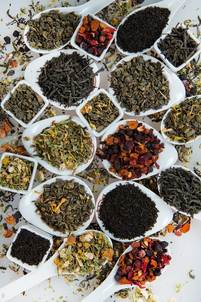 Kuru çay ürün yelpazesine. Çay beyaz izole çeşitli. Çay yaprakları farklı türde. Farklı tipteki çay çay kompozisyon. Çay kavramı. Çay yaprakları