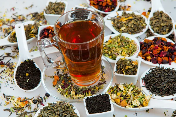 Асортимент сухого чаю. Різні види чаю ізольовані на білому. Різні види чайного листя. Склад чаю з різним видом чаю. Концепція чаю. Листя чаю — стокове фото