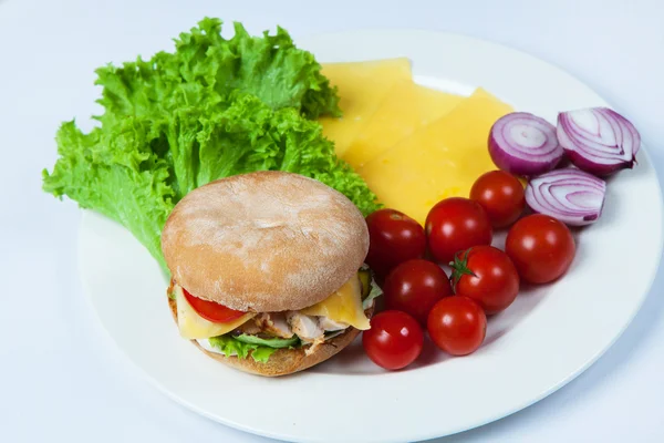 Fresh burger in plate with vegetables and french fries.Big hamburger. Ingredients for hamburgers. Top view — Stock Photo, Image