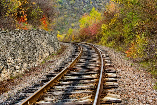 Russian Straight Railway with trees. Landscape with railroad, summer time traveling, freedom of movement.