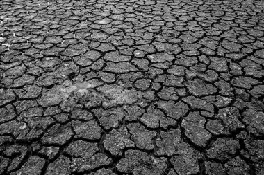 Manzara kurumuş ve çatlamış arka plan. Toprak kuru. Drouth konsepti. Su yok..