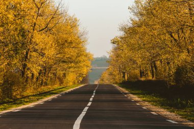 Güzel ağaçların arasında güzel bir yol. Sonbaharda bir köy yolu. Parkta sonbahar. Boş yarış pisti.