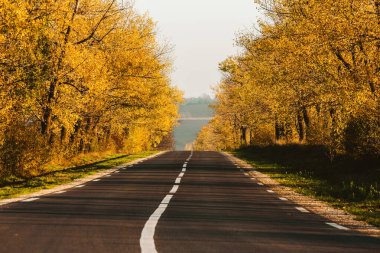 Güzel ağaçların arasında güzel bir yol. Sonbaharda bir köy yolu. Parkta sonbahar. Boş yarış pisti.