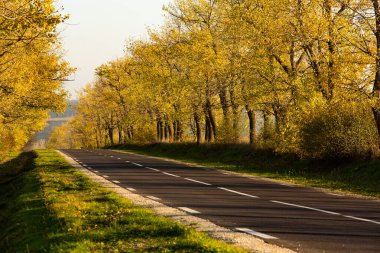 Güzel ağaçların arasında güzel bir yol. Sonbaharda bir köy yolu. Parkta sonbahar. Boş yarış pisti.