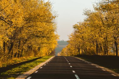 Güzel ağaçların arasında güzel bir yol. Sonbaharda bir köy yolu. Parkta sonbahar. Boş yarış pisti.