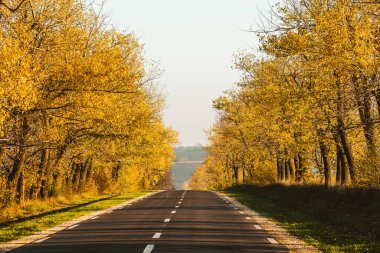 Güzel ağaçların arasında güzel bir yol. Sonbaharda bir köy yolu. Parkta sonbahar. Boş yarış pisti.