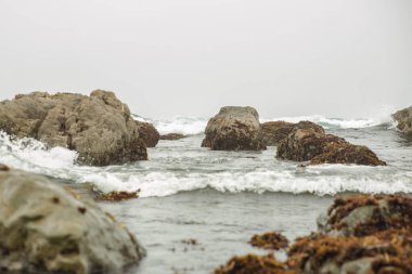 Kaliforniya 'nın Monterey şehrindeki Pasifik Okyanusu kıyısında. Amerika Birleşik Devletleri. Güneşli bir günde güzel bir sahil. Okyanus manzarası.
