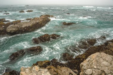 Kaliforniya 'nın Monterey şehrindeki Pasifik Okyanusu kıyısında. Amerika Birleşik Devletleri. Güneşli bir günde güzel bir sahil. Okyanus manzarası.