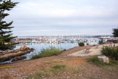 Kaliforniya 'nın Monterey şehrindeki Pasifik Okyanusu kıyısında. Amerika Birleşik Devletleri. Güneşli bir günde güzel bir sahil. Okyanus manzarası.
