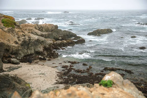 Stilla Havets Kust Staden Monterey Kalifornien Förenta Staterna Vacker Strand — Stockfoto