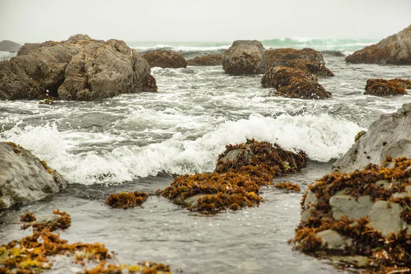 Costa Del Océano Pacífico Ciudad Monterey California Estados Unidos América — Foto de Stock