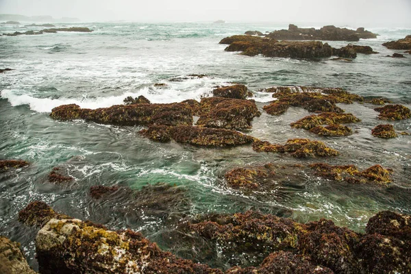 Costa Del Océano Pacífico Ciudad Monterey California Estados Unidos América — Foto de Stock