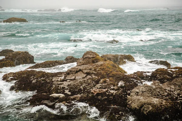 Costa Del Océano Pacífico Ciudad Monterey California Estados Unidos América — Foto de Stock