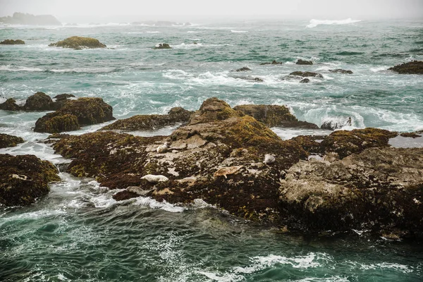 Die Pazifikküste Der Stadt Monterey Kalifornien Vereinigte Staaten Von Amerika — Stockfoto