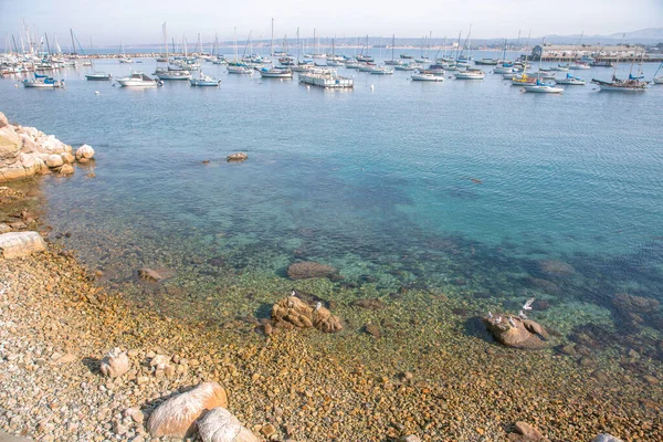 Stilla Havets Kust Staden Monterey Kalifornien Förenta Staterna Vacker Strand — Stockfoto