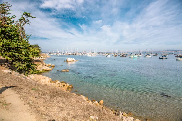 Stilla Havets Kust Staden Monterey Kalifornien Förenta Staterna Vacker Strand — Stockfoto