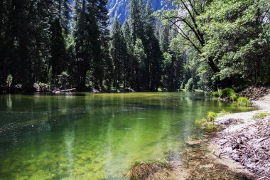 Yosemite Vadisi 'nin muhteşem manzarası. Yazın mavi gökyüzü ile güneşli güzel bir günde, kayalar ve nehirle birlikte, Yosemite Ulusal Parkı, Kaliforniya, ABD