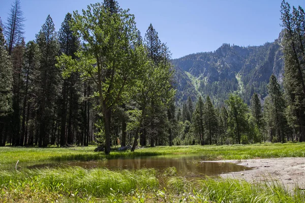 Καταπληκτική Θέα Του Διάσημου Yosemite Valley Βράχια Και Ποτάμι Μια — Φωτογραφία Αρχείου