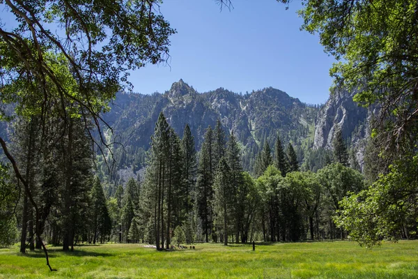 Fantastisk Utsikt Över Berömda Yosemite Valley Med Stenar Och Flod — Stockfoto