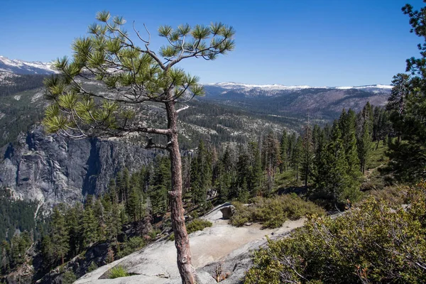 Niesamowity Widok Słynnej Doliny Yosemite Skałami Rzeką Piękny Słoneczny Dzień — Zdjęcie stockowe