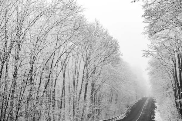 Schöne Winterlandschaft Europäischen Wald Schnee Auf Den Bäumen Rätselhafte Und — Stockfoto