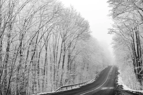 Beau Paysage Hivernal Dans Forêt Européenne Neige Sur Les Arbres — Photo