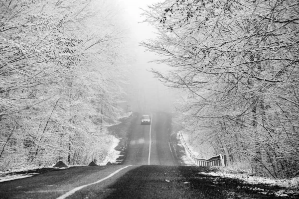 Beautiful winter landscape in the european forest. Snow on the trees.Enigmatic and amazing winter nature in black and white. Frosted trees branches.