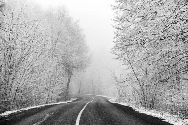 Beautiful Winter Landscape European Forest Snow Trees Enigmatic Amazing Winter — Stock Photo, Image