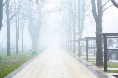 Chisinau Moldova 'da güzel sisli bir kış sabahı. Şehirde sis var..