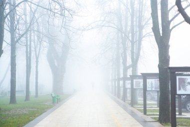 Chisinau Moldova 'da güzel sisli bir kış sabahı. Şehirde sis var..