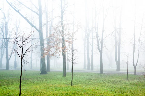 Beautiful Foggy Winter Morning Chisinau Moldova Fog City — Stock Photo, Image