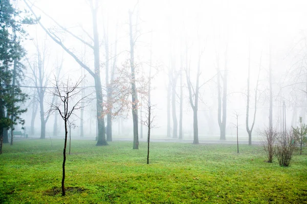 Beautiful Foggy Winter Morning Chisinau Moldova Fog City — Stock Photo, Image