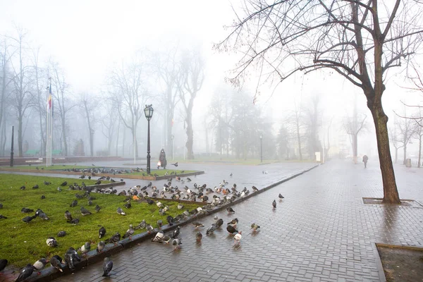 Piękny Mglisty Zimowy Poranek Kiszyniowie Mołdawia — Zdjęcie stockowe
