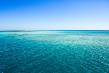 Mısır 'daki Temiz ve Açık Kızıldeniz manzarası. Mavi suyun arkaplanı.