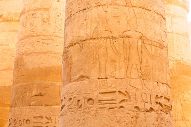Mısır 'daki Dendera Tapınağı kompleksi. Eski Mısır tapınağının duvarına hiyeroglif oymalar.