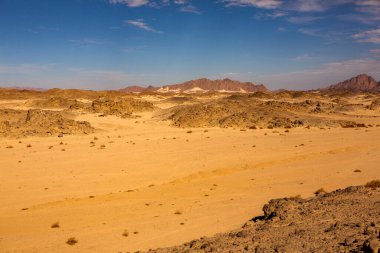 Mısır 'daki güzel kum tepecikleri manzarası. Sahra Çölü. Turuncu kum dalgasının arka planı. Afrika Çölü