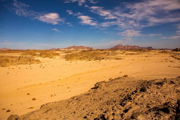 Beautiful landscape of sand dunes in Egypt. Sahara Desert. Background of orange sand wave. Africa desert