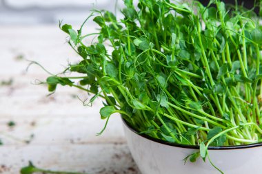 Farklı türde mikro yeşil dereotu filizleri. Evde tohum yetiştirme. Organik çiğ yiyecekler. Bezelye, roka, ayçiçeği, kırmızı lahana..