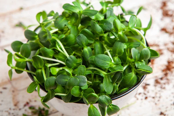 Different types of micro green dill sprouts.  Growing seed germination at home. Organic raw food. Peas, arugula, sunflower, red cabbage.