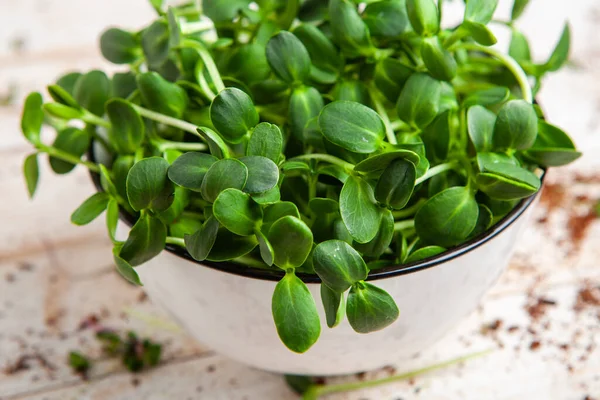 Different types of micro green dill sprouts.  Growing seed germination at home. Organic raw food. Peas, arugula, sunflower, red cabbage.