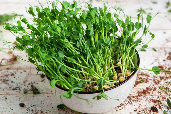 Different types of micro green dill sprouts.  Growing seed germination at home. Organic raw food. Peas, arugula, sunflower, red cabbage.